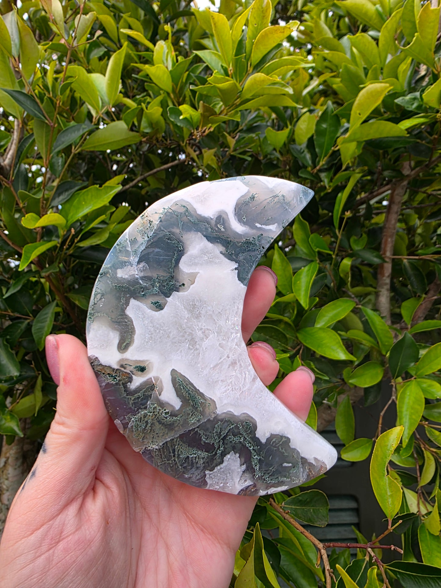 Moss Agate Moon Carving