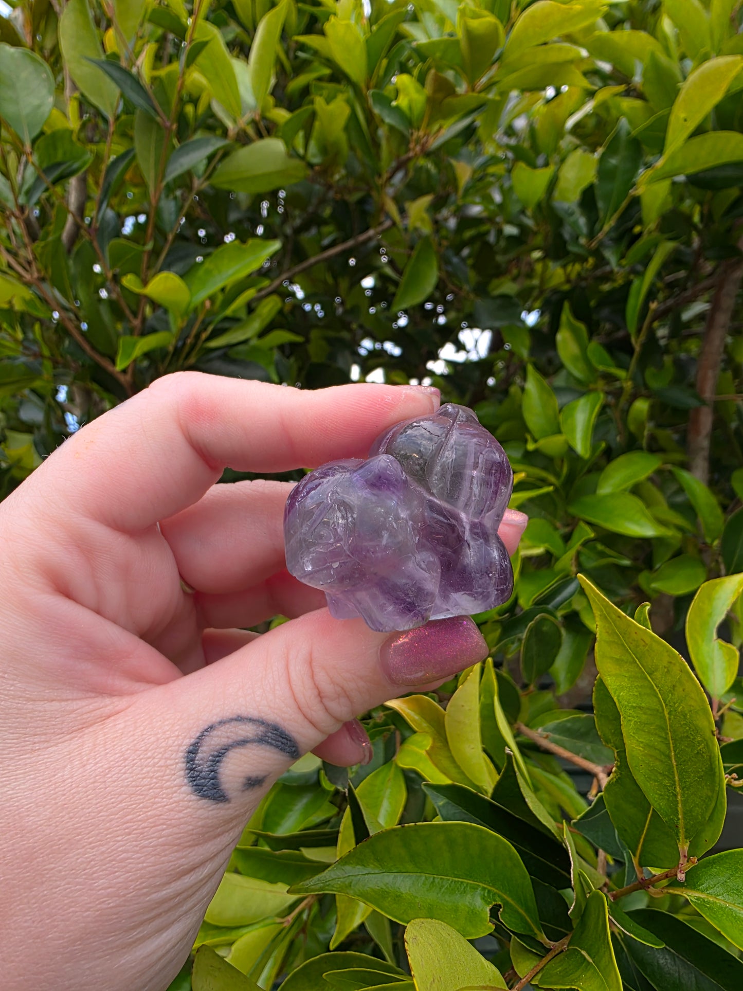 Fluorite Bulbasaur Carving