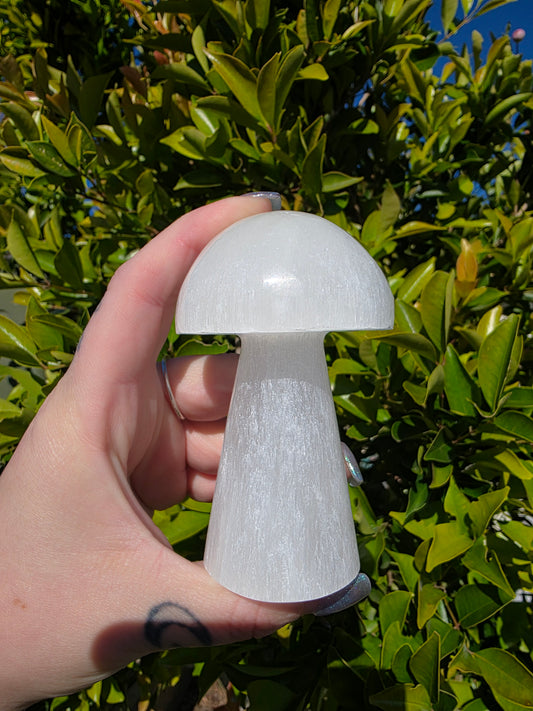 Selenite Mushroom Carving