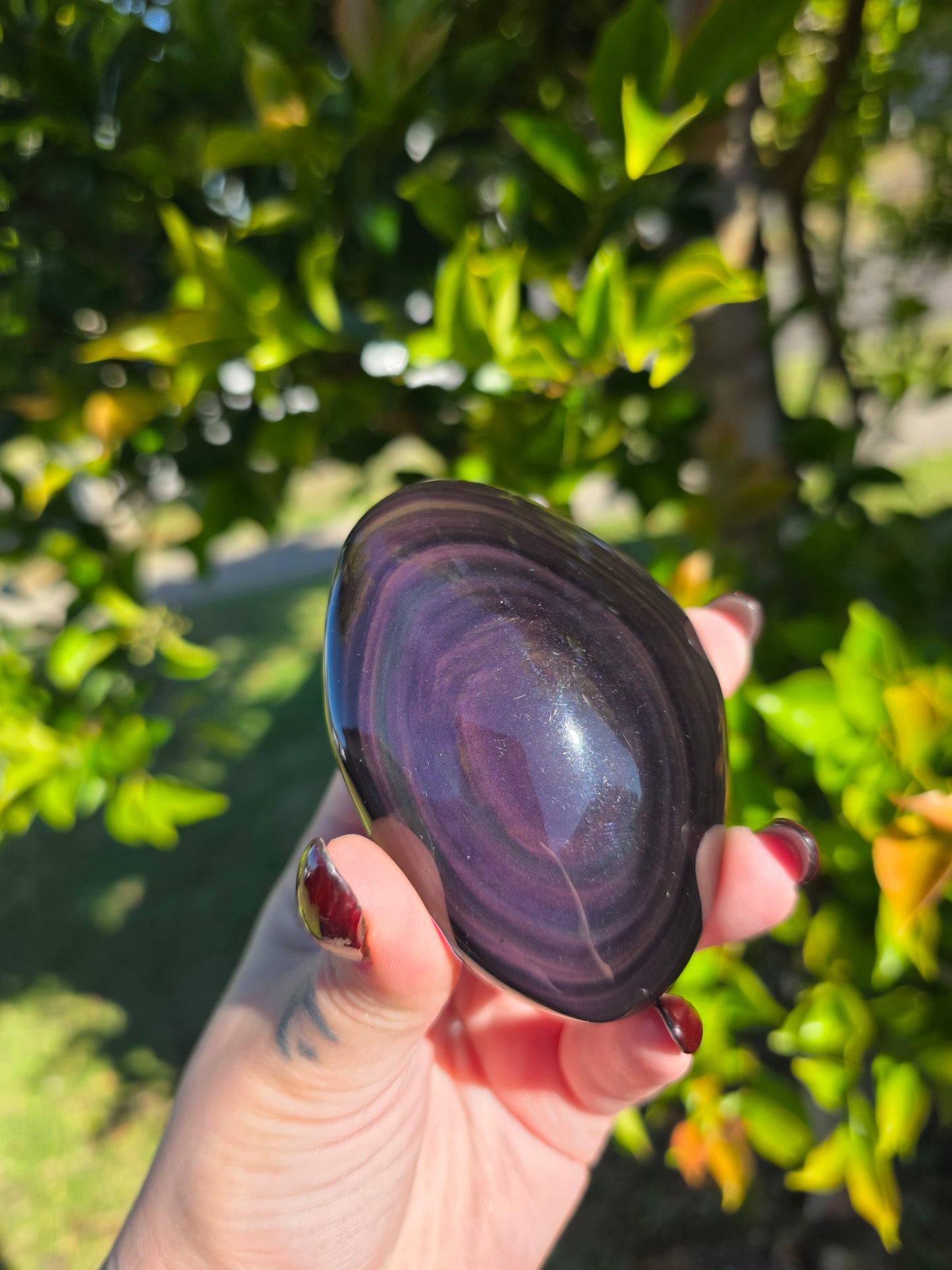 Rainbow Obsidian Palmstone