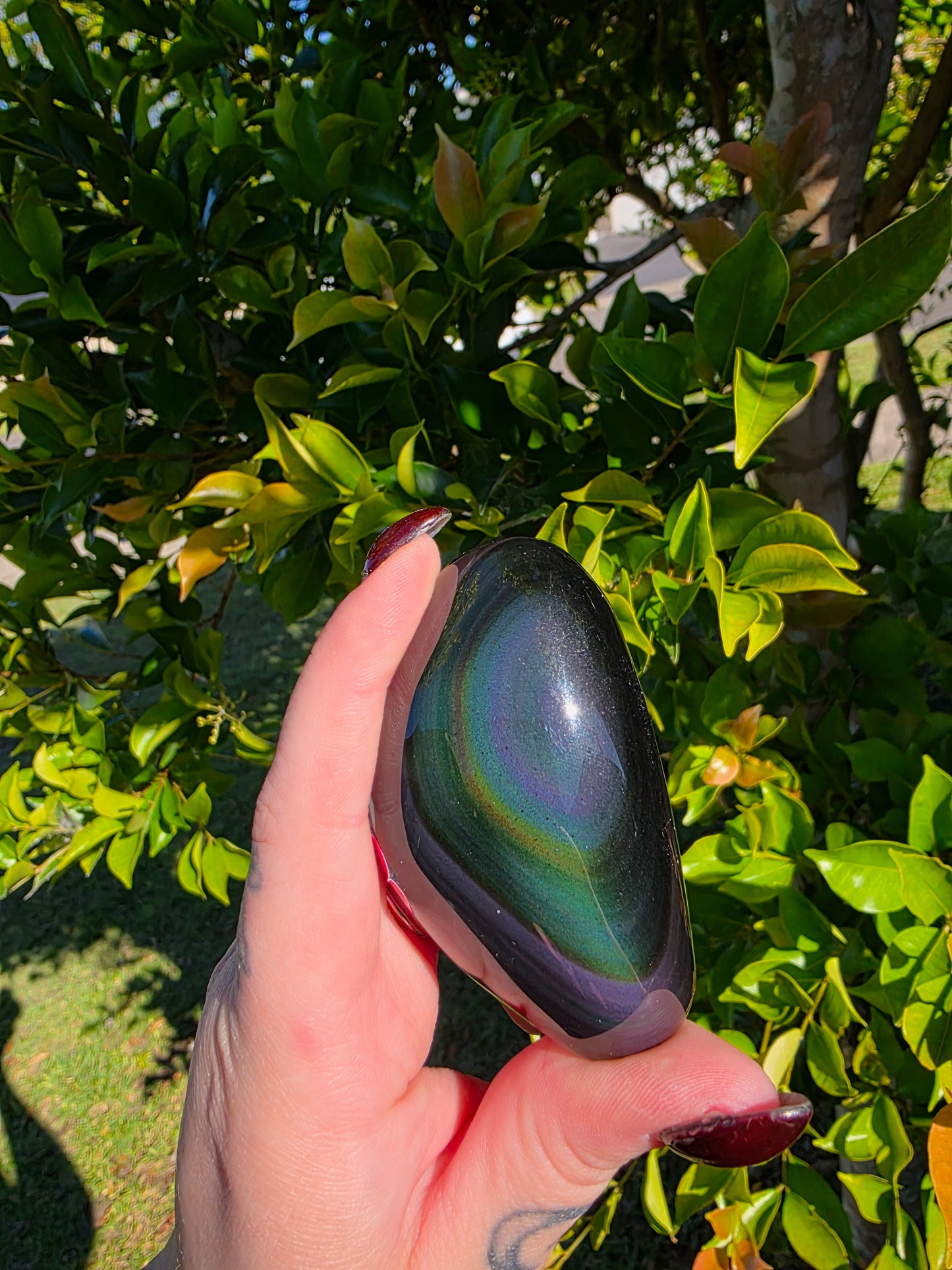 Rainbow Obsidian Palmstone
