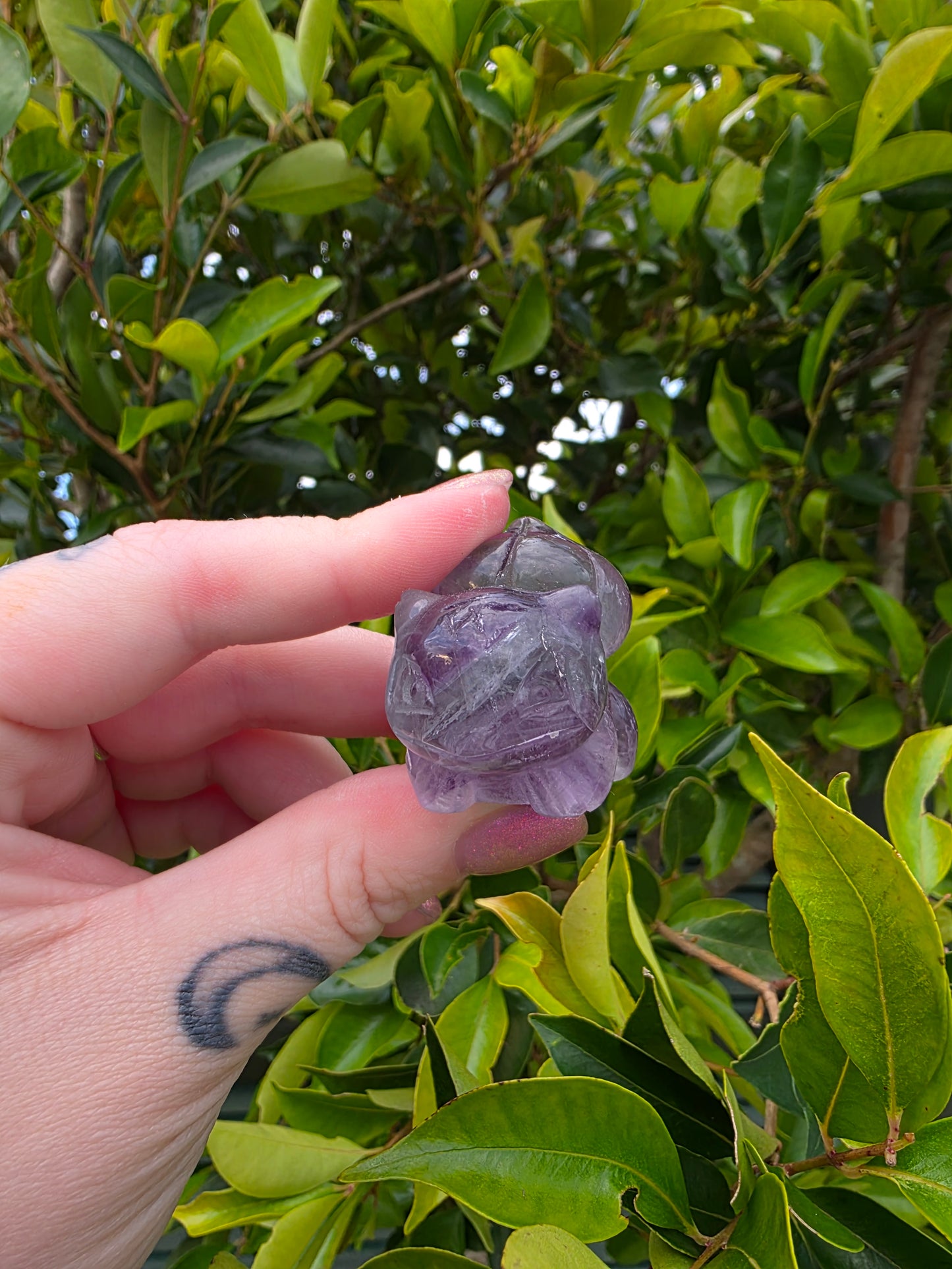 Fluorite Bulbasaur Carving
