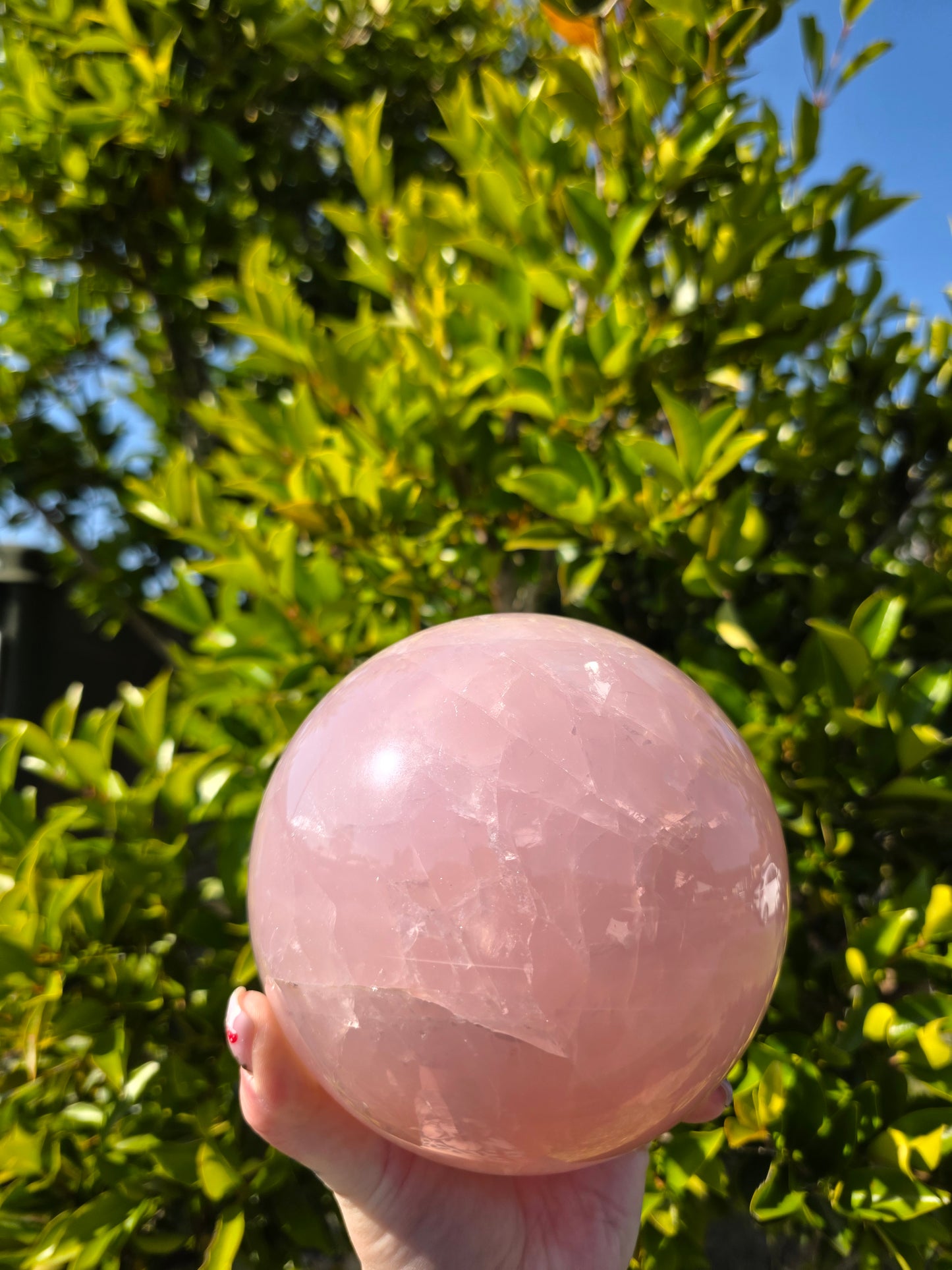 3.2kg Rose Quartz Sphere