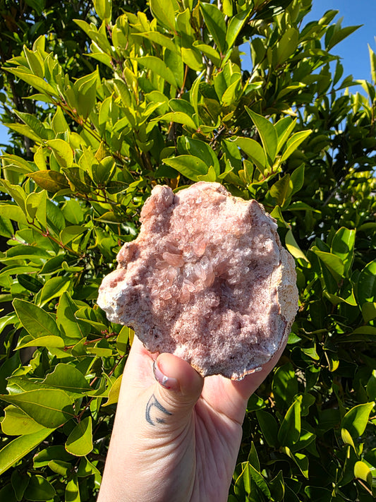 Pink Amethyst Cluster
