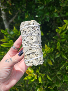 XL Sage Smudge Stick