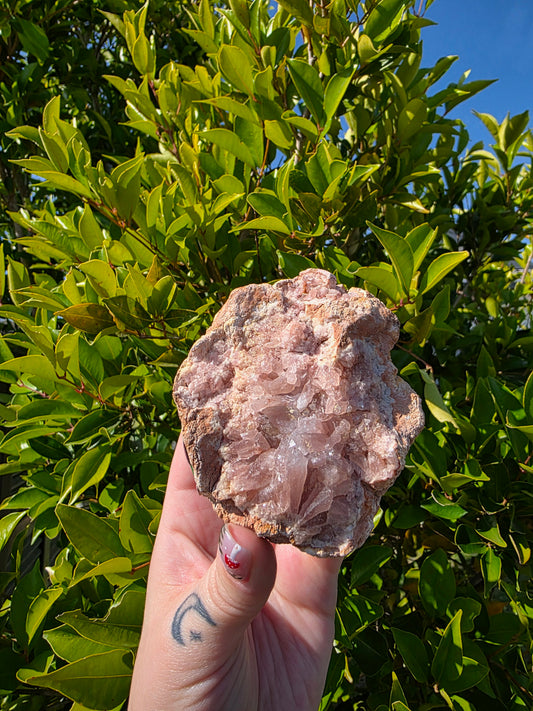 Pink Amethyst Cluster