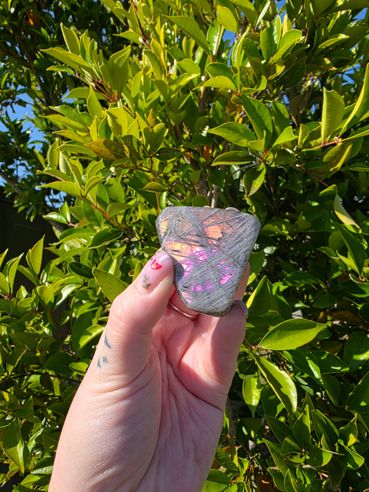 Purple Labradorite Freeform