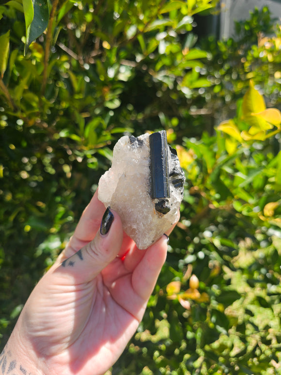 Tourmalated Quartz Cluster