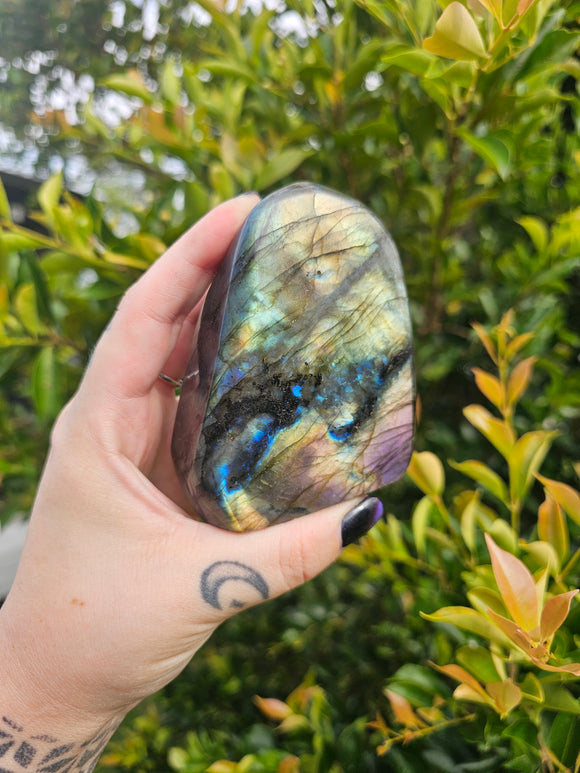 Labradorite Polished Freeform