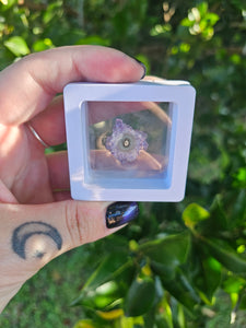 Amethyst Stalactite with display case #1