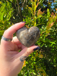 Volcano Agate Heart Carving