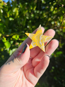 Bumblebee Jasper Star Carving