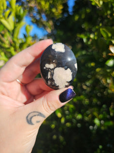 Black Flower Agate Palmstone