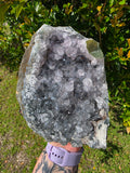 1.5kg Amethyst Cluster Freeform