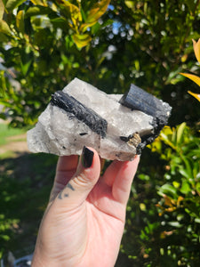 Tourmalated Quartz Cluster