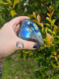 Labradorite Polished Freeform