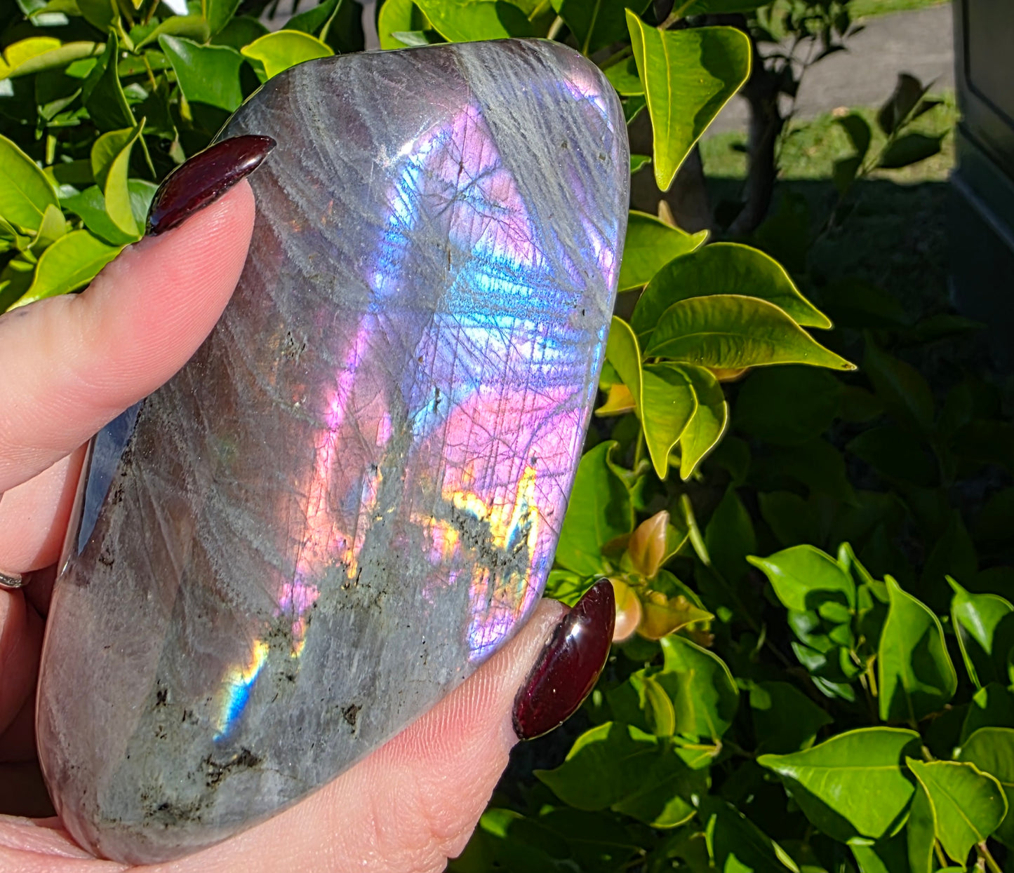 Labradorite Freeform