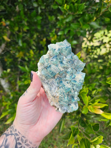 Green Cubic Fluorite Cluster