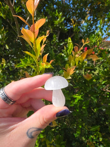 Selenite Mushroom Carving