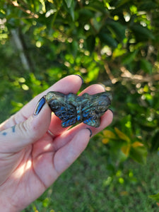 Labradorite Butterfly Carving #2