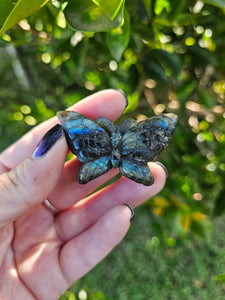 Labradorite Butterfly Carving #1