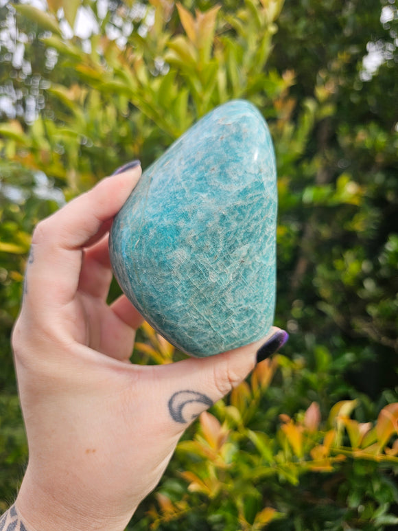 Amazonite Polished Freeform