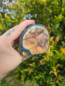 Labradorite Polished Freeform