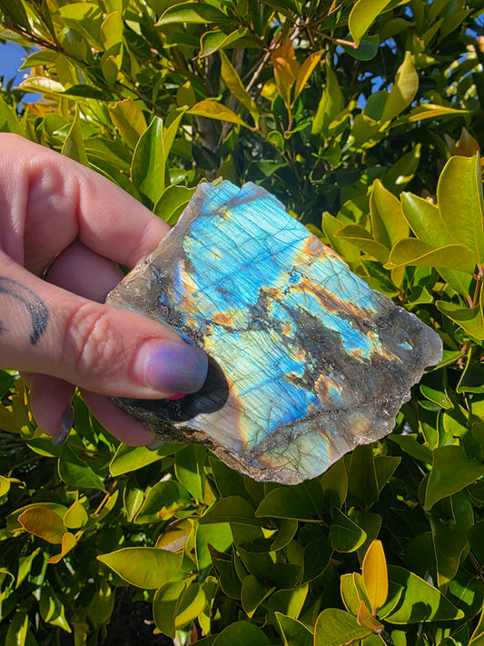 Labradorite Polished Slab
