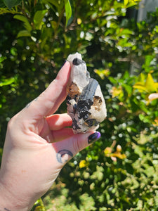 Tourmalated Quartz Cluster